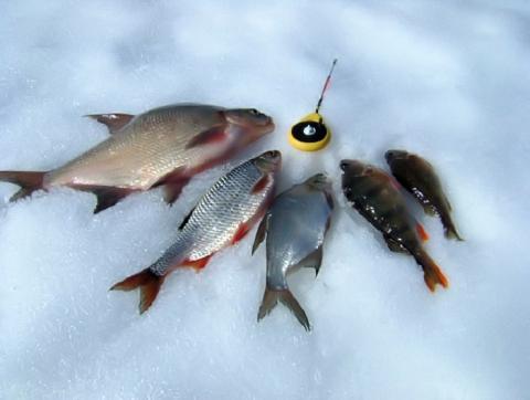 зимняя рыбалка на урале в казахстане